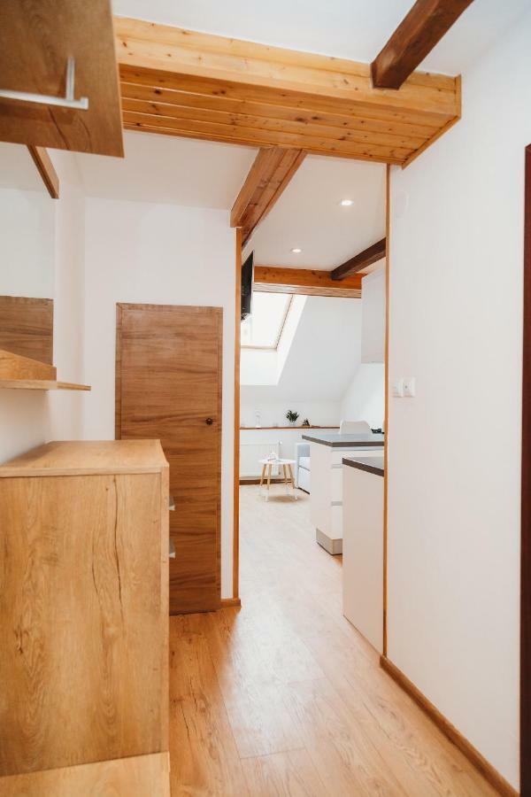 Center City Charming Loft Apartment 科希策 外观 照片